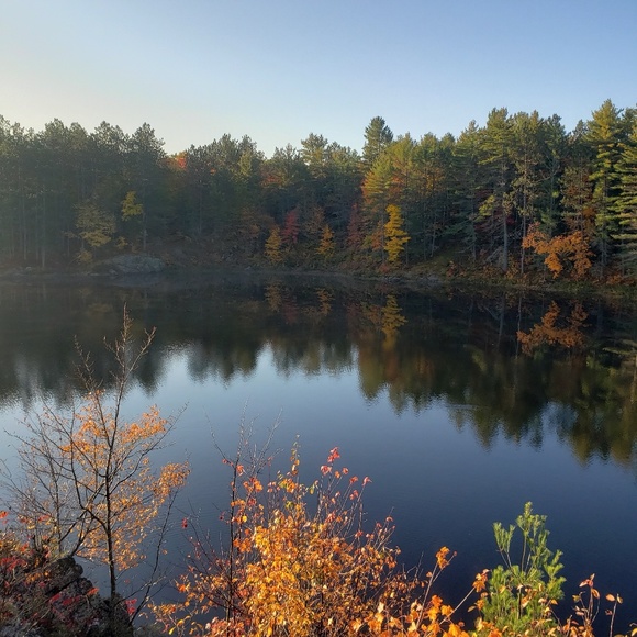 Meet your Posher, Chloe - Picture 1 of 1